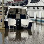 Warrior Pro Angler - Boarding ladder