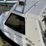 Warrior Pro Angler - Locker on cuddy roof with a telescopic canopy