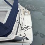 Bathing Platform & Boarding Ladder