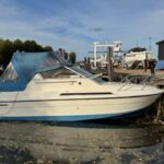 Aquaholics at mooring